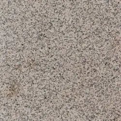Desert Cream Granite